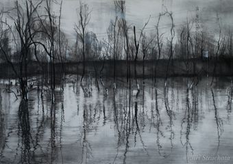  Anthropocene VIII  ,  70x120cm ,  mixed media on paper