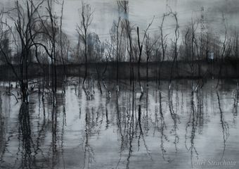  Antropocén VIII  ,  70x120cm ,  kombinovaná technika na papieri