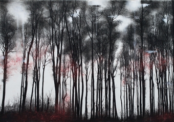  Woods in Fire  ,  100x140cm ,  mixed media on paper 